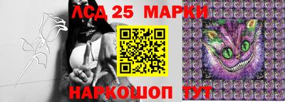 соль ск Будённовск
