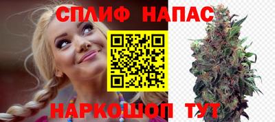 Альфа ПВП Волгодонск