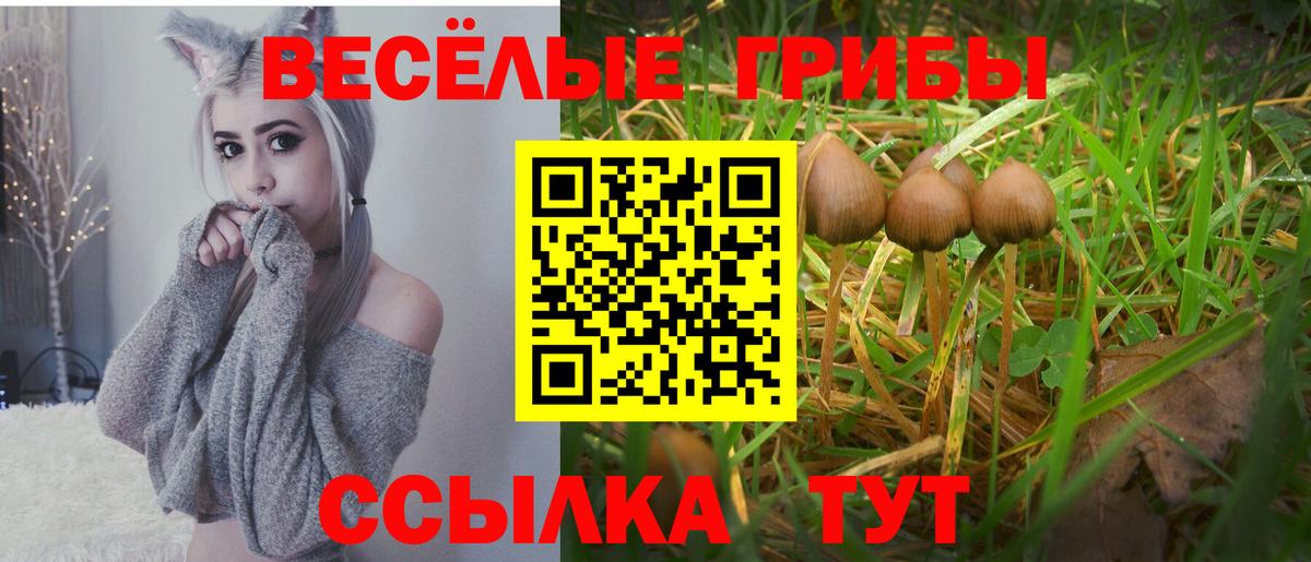 Псилоцибиновые грибы Psilocybine cubensis  где купить наркотик  Нурлат  Вход с VPN 